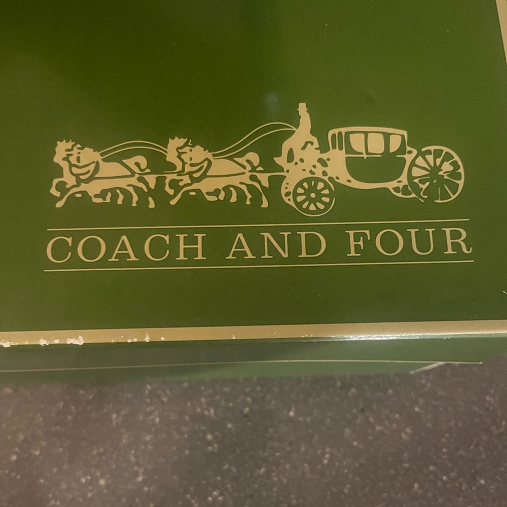 Fashionable women’s shoe coach for four
